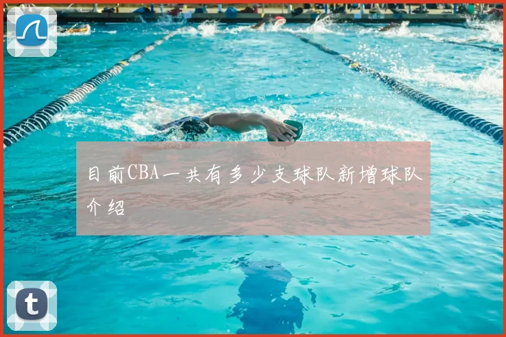 目前CBA一共有多少支球队新增球队介绍