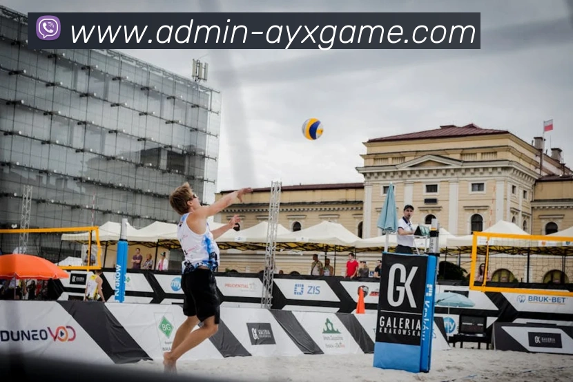 多媒体互动体验